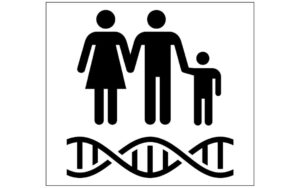 Which Has a Greater Impact on Type 1 Diabetes Development: Genes or Environment