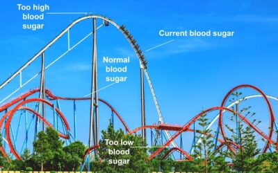 Understanding What Causes Blood Sugar Rollercoasters (Glycemic Variability)